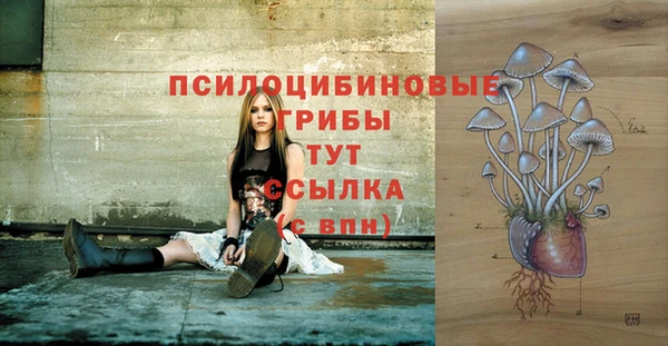 ГАЛЛЮЦИНОГЕННЫЕ ГРИБЫ Ростов